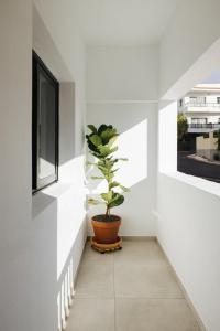 Gallery image of La Casa de La Caleta by Taller96 - El Hierro Island - in La Caleta