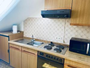 a small kitchen with a stove and a sink at Forsterhof in Pottenstein