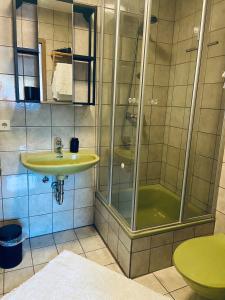 a bathroom with a sink and a shower at Forsterhof in Pottenstein