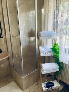 a bathroom with a shower and a towel rack at Forsterhof in Pottenstein