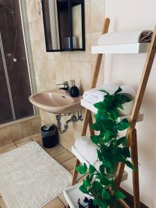 a bathroom with a sink and a shower and a plant at Forsterhof in Pottenstein