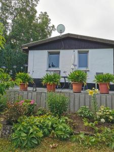 una casa con macetas delante de ella en Ferienhaus Appold, en Wernigerode