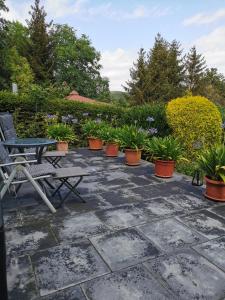 eine Terrasse mit einer Bank und einem Haufen Topfpflanzen in der Unterkunft Ferienhaus Appold in Wernigerode