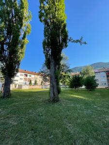 two trees in a field with a building in the background at Apartment Azra in Hrasnica