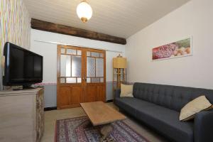 sala de estar con sofá y TV en Gîte les Hirondelles, en Caudiès-de-Fenouillèdes