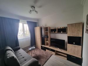 a living room with a couch and a flat screen tv at Apartament Georgiana in Gura Humorului