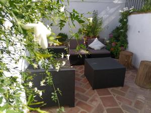 A garden outside El Barranquillo