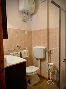 a bathroom with a toilet and a sink and a shower at Casa GaEl in Fiumalbo +11 photos