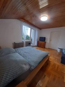 Schlafzimmer mit einem Bett mit Holzdecke in der Unterkunft Pětadvacítka in Česká Skalice