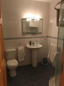 a bathroom with a toilet and a sink and a mirror at Forest View - Castlewellan, County Down in Belfast