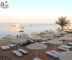 Φωτογραφία από το άλμπουμ του La Rosa Waves Beach - Couple & Families Only στη Χουργκάντα