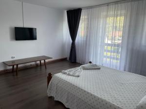 a bedroom with a bed and a tv and a window at Cazare Vila Maria in Curtea de Argeş
