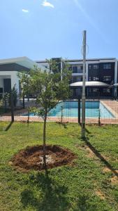 Un petit arbre dans l'herbe près d'un bâtiment dans l'établissement Sarona City L203, à Gaborone
