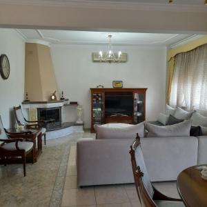 a living room with a couch and a fireplace at Villa St.George in Katerini