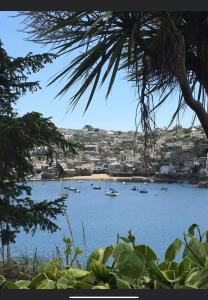 a view of a beach with boats in the water at West Winds, Fore Street, Polruan by Fowey in Polruan