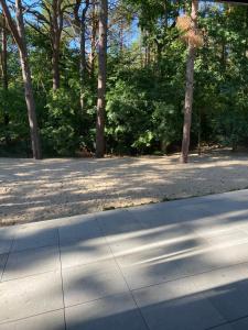 un marciapiede in un parco con alberi sullo sfondo di Apartamenty na wydmach &Spa a Pobierowo Altre 36 foto