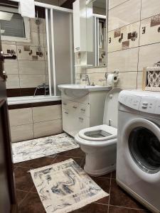 a bathroom with a washing machine and a toilet at Apartman Nina in Kotor +15 photos