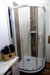 a shower with a glass door in a bathroom at Zschampert Hof bei Leipzig Ruhige Ferienwohnung Bauernhof für 4-5 Personen in Markranstädt