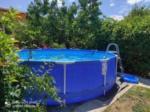 a blue hot tub sitting in a yard at Apartma Lavanda Istriana in Pobegi