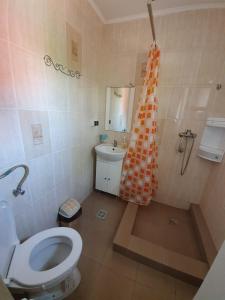 a bathroom with a toilet and a shower and a sink at La Turturica in Corbu