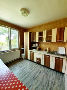a kitchen with wooden floors and a kitchen with a sink at La Turturica in Corbu