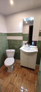 a bathroom with a toilet and a sink and a mirror at Domek na Porąbkach z kominkiem in Międzybrodzie Żywieckie