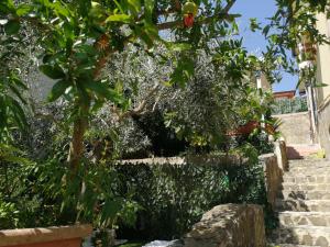 Gallery image of La Vecchia Taverna B&B in Prignano Cilento