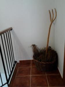 una planta en una cesta sentada al lado de una escalera en La Ontina, en La Puebla de Valverde