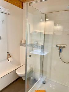 ein Bad mit einem WC und einer Glasdusche in der Unterkunft Ferienhaus Sandsteinwandblick in Schöna