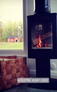 Fotografie z fotogalerie ubytování Old Pine Husky Lodge v destinaci Sompujarvi
