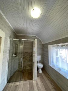 a bathroom with a toilet and a glass shower at La Casa Tamaris in Senta