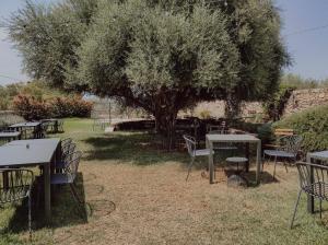 Um jardim em Case Marianeddi