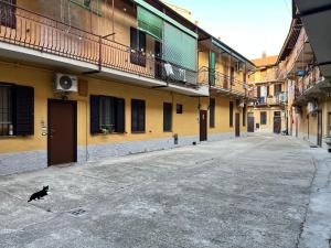a black cat walking down an empty street at CA FOSCARI HARMONY Jacuzzi Apartment in Milan