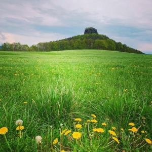 a field of grass with flowers and a hill in the background at Ferienhaus Bachrauschen in Schöna