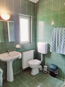 een badkamer met een toilet en een wastafel bij INTRE CASCADE in Baia de Arieş
