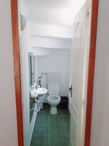 een badkamer met een toilet en een wastafel bij INTRE CASCADE in Baia de Arieş