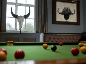 un cráneo de toro en una habitación con mesa de billar en 10 Castle St, en Cranborne