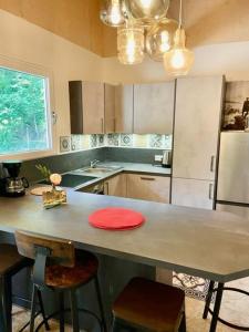 a kitchen with a counter with a red plate on it at Ferienhaus Blumenwiese in Schöna