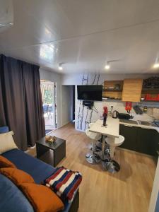 Kuchyň nebo kuchyňský kout v ubytování Mobile home Linico