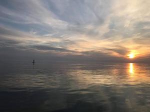 een persoon die bij zonsondergang in het water staat bij Herdwicks in Millom