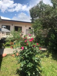 Dārzs pie naktsmītnes Soso Burduli's Guesthouse