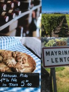 Foto sihtkohas Mayrinhac-Lentour asuva majutusasutuse Ratatouille galeriist +12 fotot
