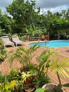 un patio con sedie e una piscina con piante di Locastudio - Pomme Kanel a Sainte-Anne