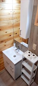 a bathroom with a sink and a mirror at DOMKI U STRAŻAKA GĄSKI -MORZE in Gąski +62 photos