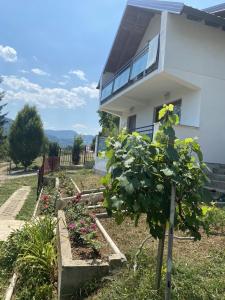 un jardín frente a una casa en Villa Rose, en Sarajevo