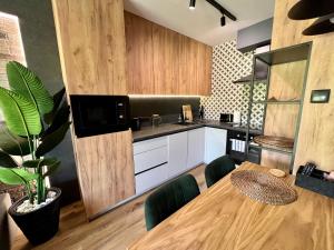 Kuchnia lub aneks kuchenny w obiekcie Loft Klonowa - Apartament z garażem
