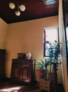 Afbeelding uit fotogalerij van Casas da Quinta da Cancela in Balugães