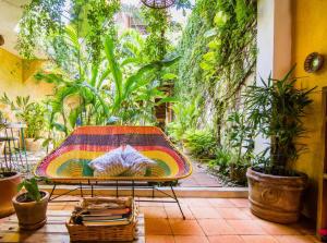 eine Terrasse mit einem Stuhl in einem Garten mit Pflanzen in der Unterkunft Hotel Casa Mixteca in Zipolite