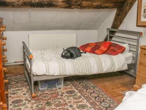 un perro acostado en una cama en una habitación en Medieval Cottage in rural Monmouthshire., en Raglan