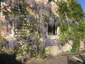 Foto dalla galleria di Medieval Cottage in rural Monmouthshire. a Raglan